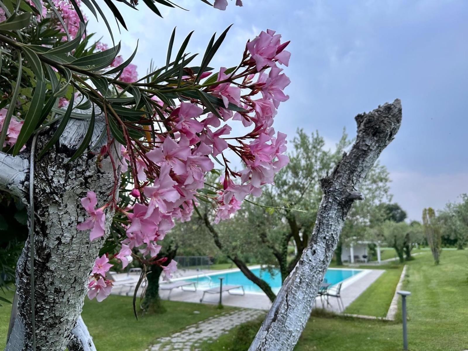 Villa Athena Charme Manerba del Garda Extérieur photo